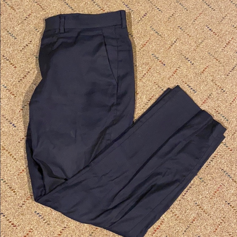 Express Dress Pants